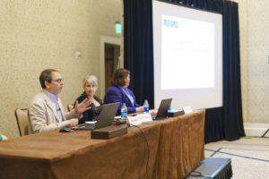 Panel at LAIPLA Spring Seminar 2019